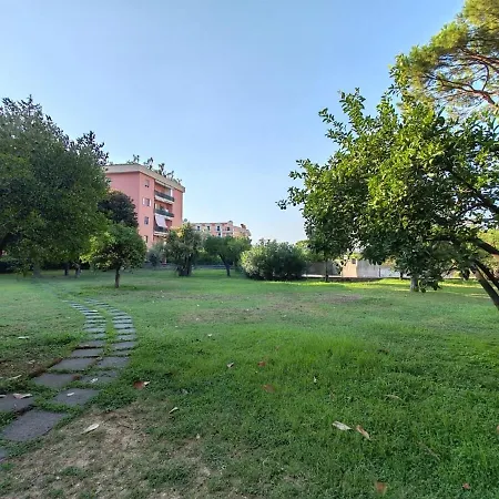 Spacious And Charming Oasis In Center *